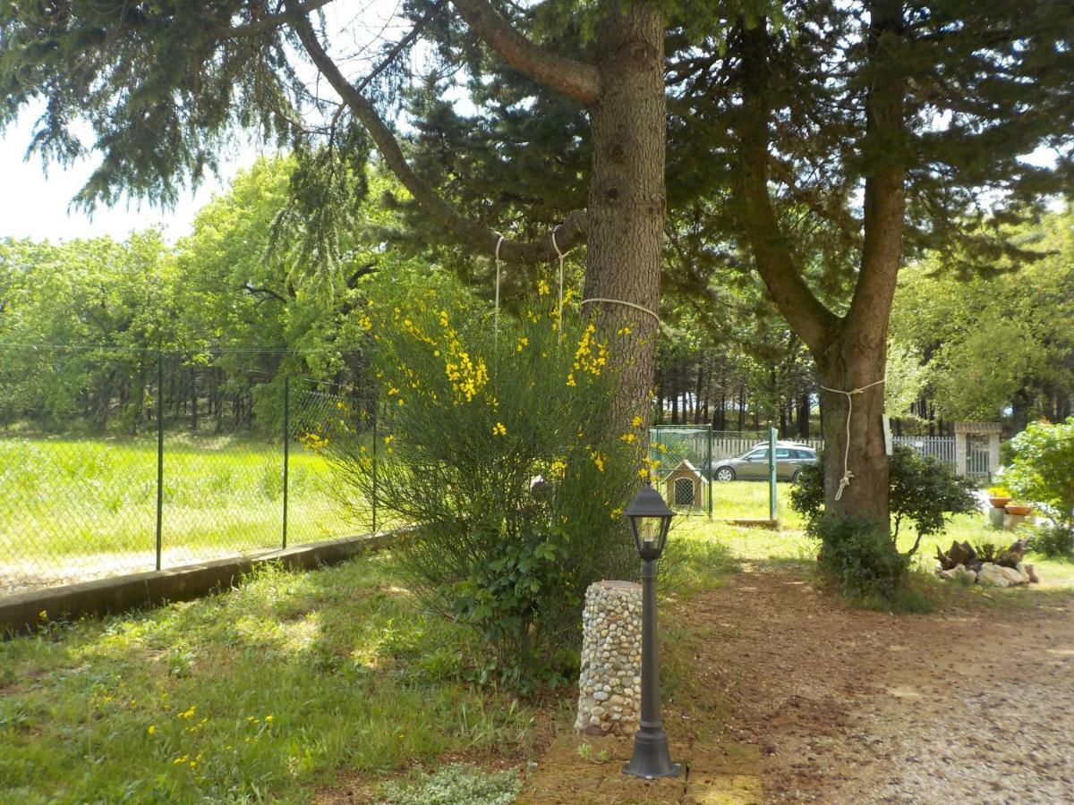 B&B Il Pizzagiallo Масса-Мартана Экстерьер фото